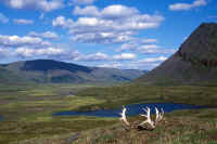 Headwaters of the Nigu River in Arctic Alaska.